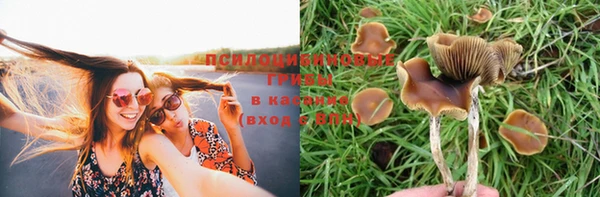дмт Алексеевка