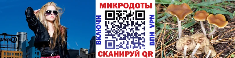 Галлюциногенные грибы Psilocybine cubensis  блэк спрут зеркало  Куртамыш 